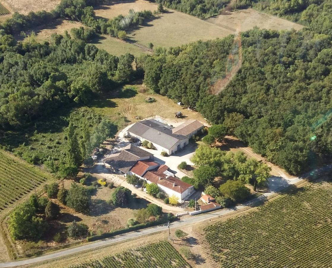 Les Chambres d'Hôtes de Château Vieux Robin Bégadan Exterior foto